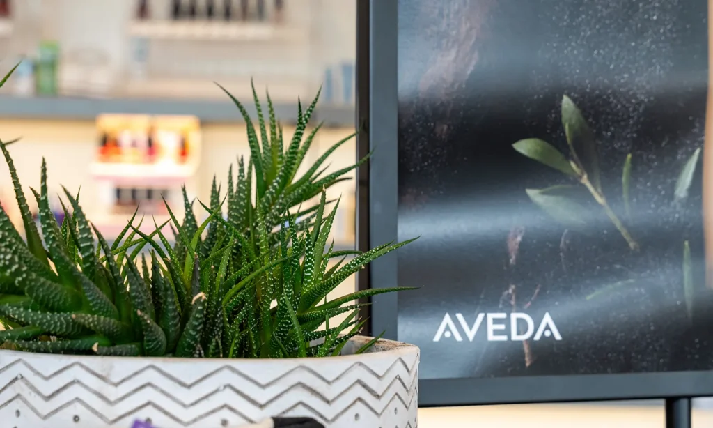 - Bella Capelli Sanctuario in Westlake, OH Potted succulent plant in a patterned white pot sits next to an upright AVEDA poster with a leaf image in the background. - Bella Capelli Sanctuario in Westlake, OH